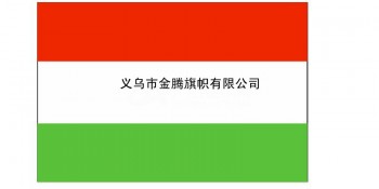 厂家专业定制各尺寸匈牙利国旗批发各国耐用涤纶防水防晒高端优质旗帜